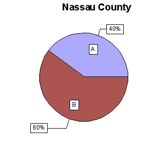 Nassau County - 40% of Appointments to 11% of Guardians Ad Litem